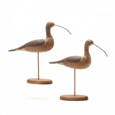 two-captain-harry-jobes-shorebirds-curlews