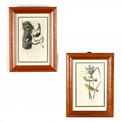 after-john-james-audubon-american-1785-1851-two-ornithological-prints