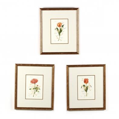three-framed-tulip-prints