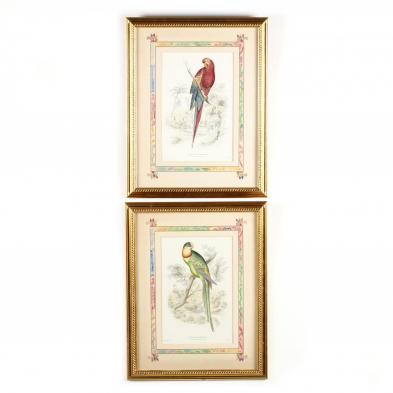 pair-of-framed-decorative-parrot-prints