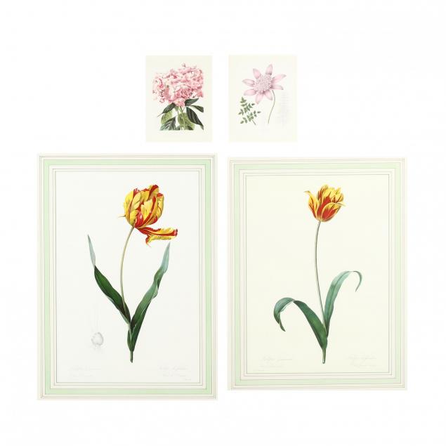 group-of-four-decorative-botanical-prints