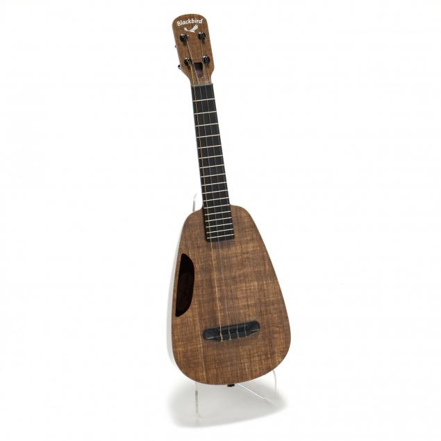 blackbird-clara-concert-ukulele