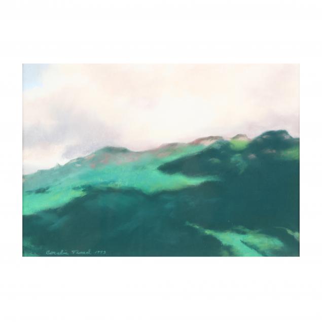 coralie-tweed-nc-ga-born-1939-mountain-landscape