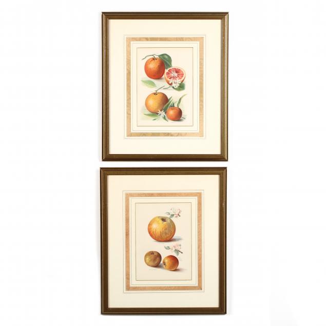 pair-of-framed-fruit-chromolithographs