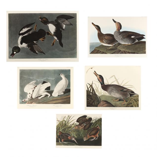 after-john-james-audubon-american-1785-1851-five-ornithological-prints