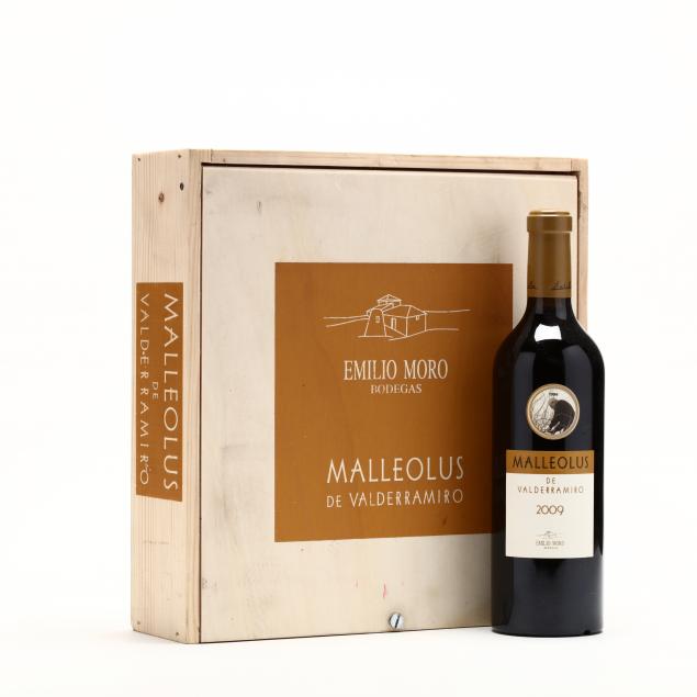 malleolus-de-valderramiro-vintage-2009