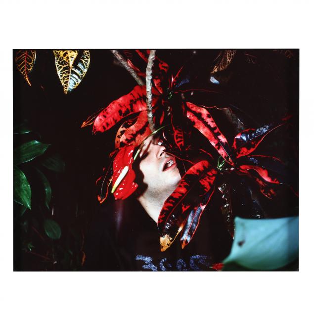 naomi-fisher-b-1976-i-untitled-red-croton-leaves-i