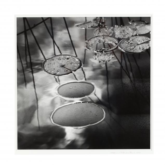 karin-rosenthal-b-1945-i-lily-pads-i