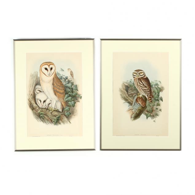 gould-and-richter-british-19th-century-two-prints-of-owls