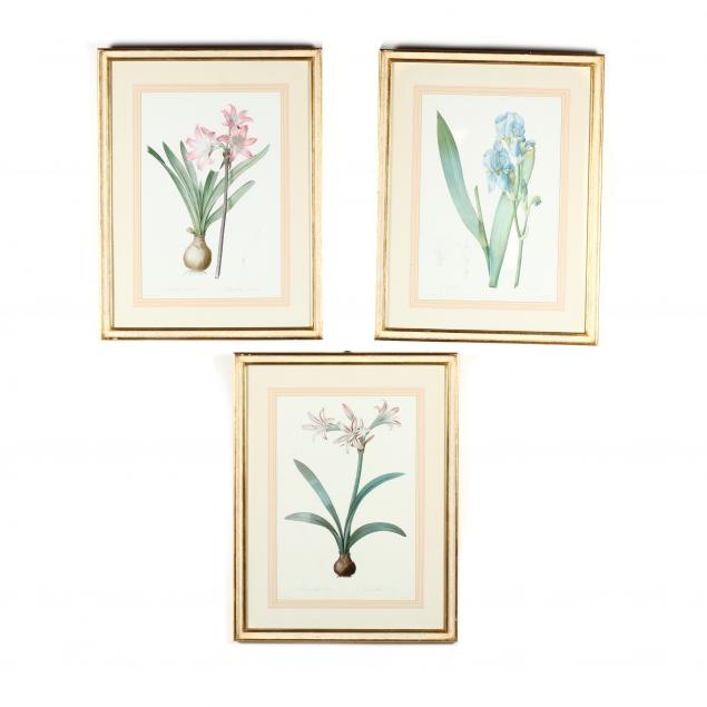 three-framed-botanical-prints-after-redoute