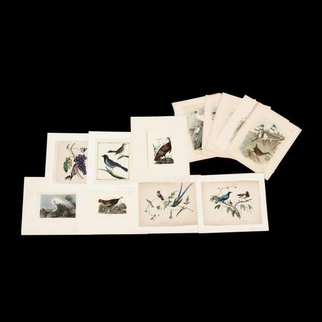thirteen-antique-bird-prints-includes-three-audubon-octavos