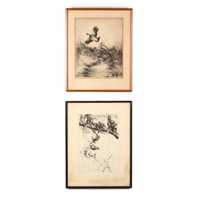 two-primate-and-ornithological-etchings