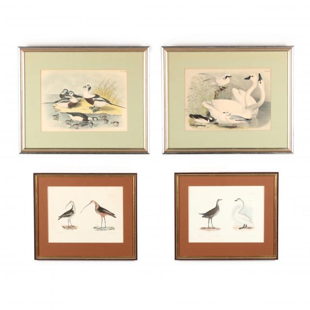 four-antique-waterfowl-prints