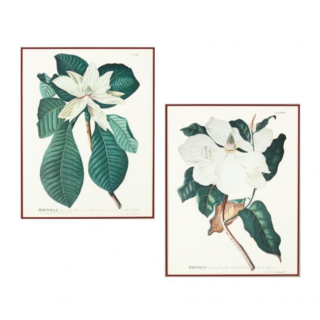 pair-of-framed-decorative-magnolia-prints