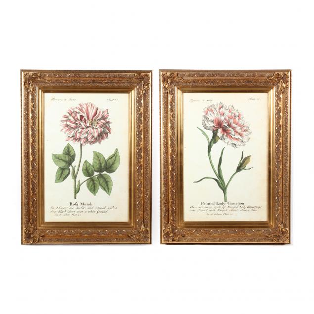 two-large-decorative-botanical-prints