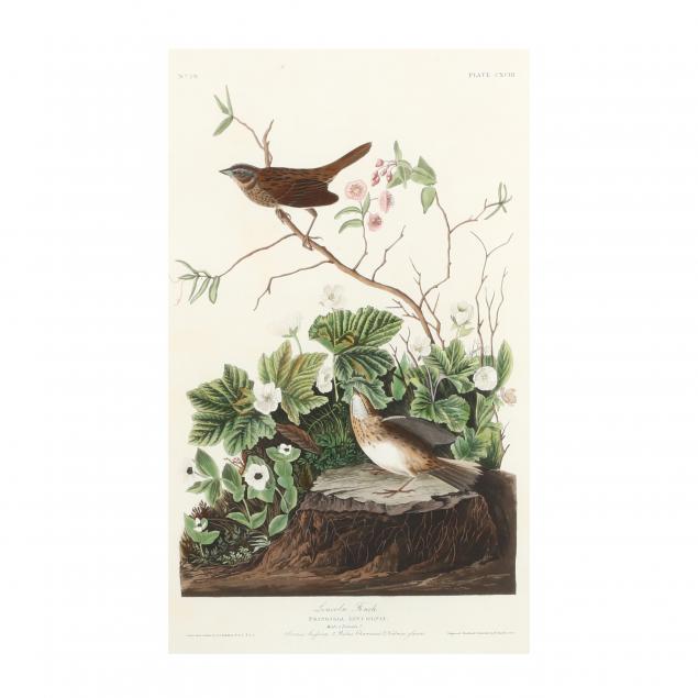 john-james-audubon-american-1785-1851-i-lincoln-finch-i-havell-edition