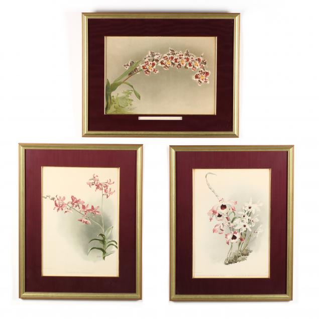 after-henry-george-moon-british-1857-1905-three-orchid-lithographs