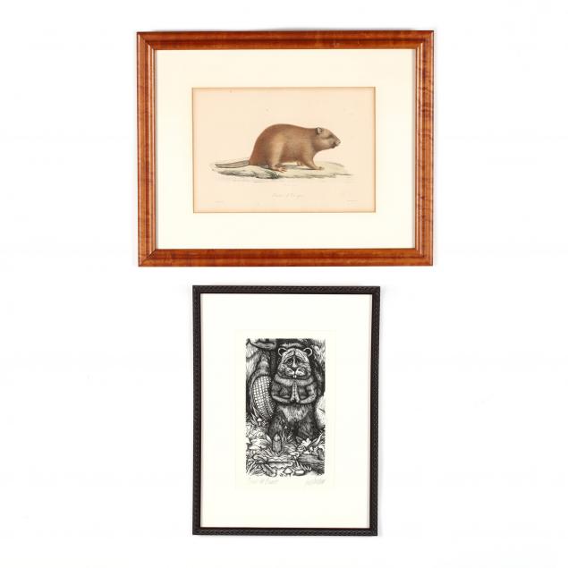 two-graphic-works-picturing-beavers