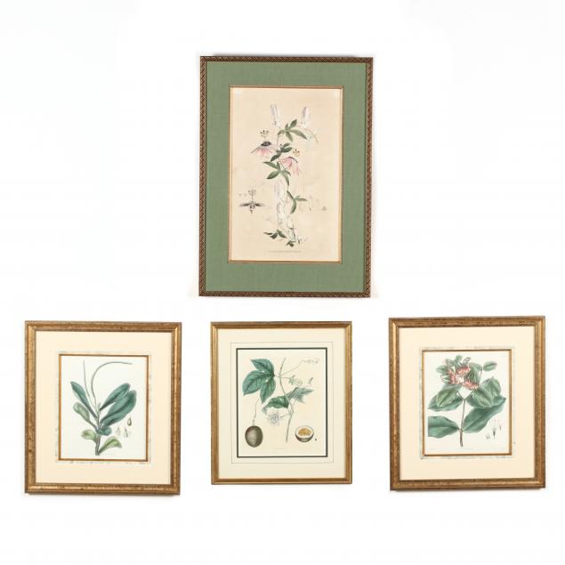 group-of-four-antique-botanical-prints