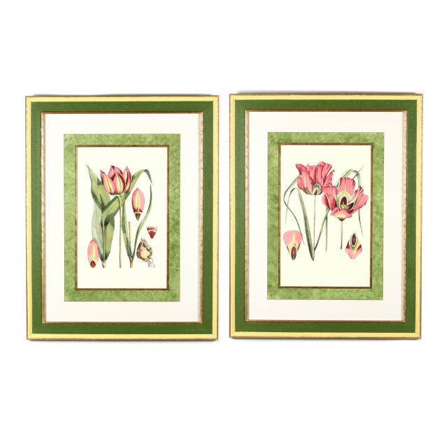 pair-of-large-decorative-botanical-prints