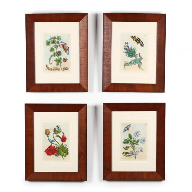 group-of-four-butterfly-and-floral-botanical-prints