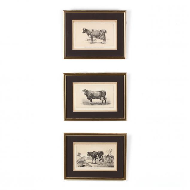 julius-bien-co-19th-century-three-antique-cow-lithographs