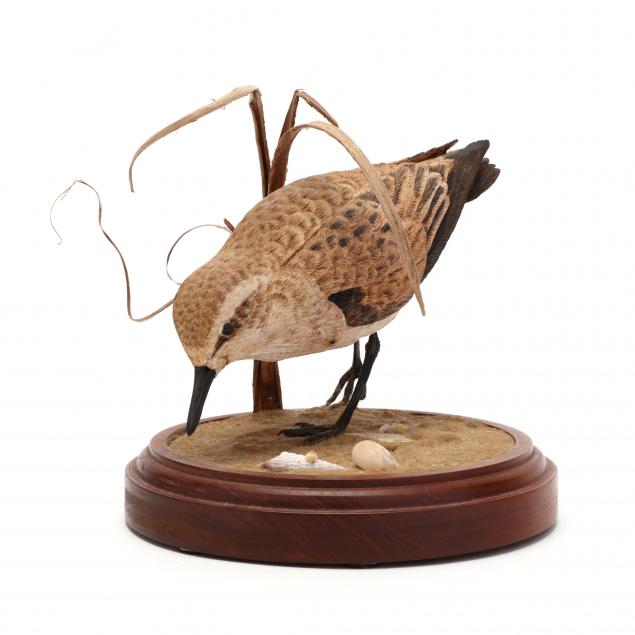 ora-a-anderson-kentucky-20th-century-sanderling-sculpture