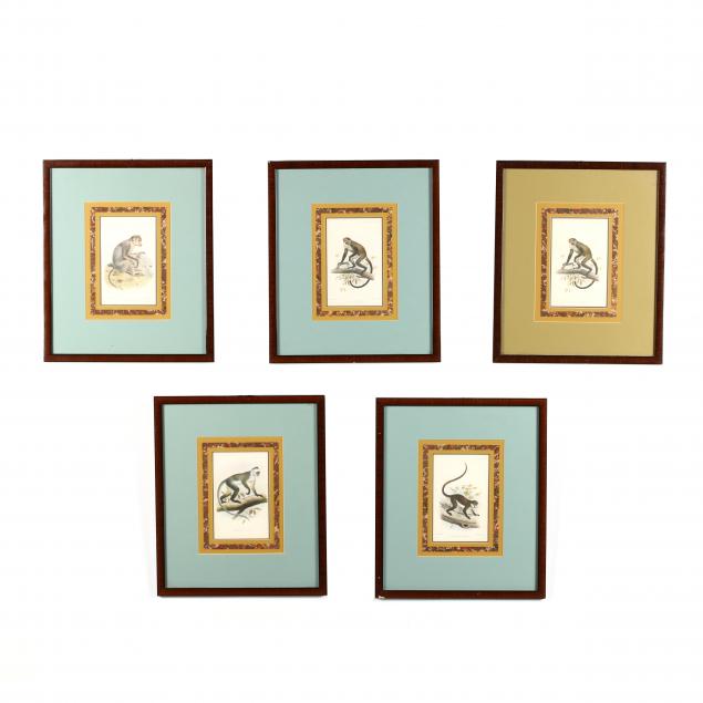 group-of-five-decorative-primate-prints