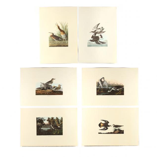 after-john-james-audubon-american-1785-1851-six-prints-from-i-birds-of-america-i-amsterdam-edition