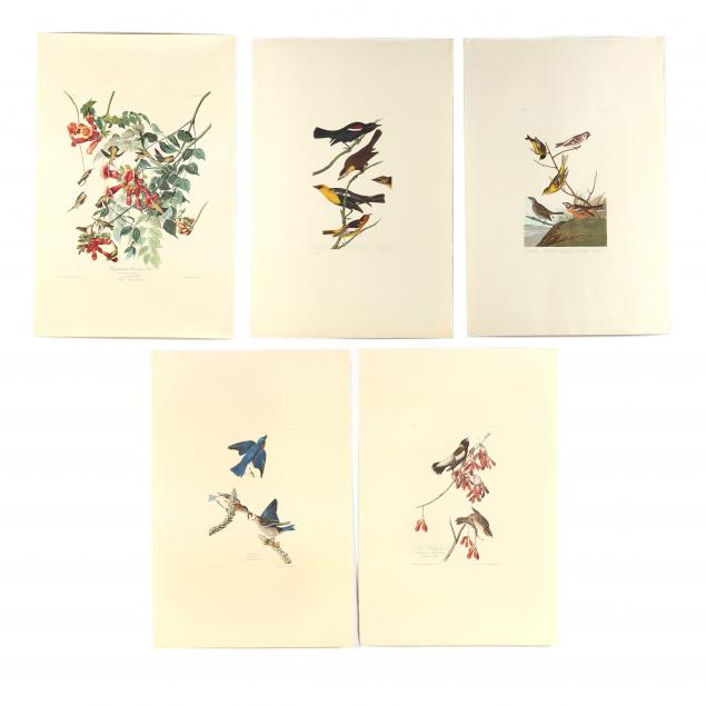 after-john-james-audubon-american-1785-1851-five-prints-from-i-birds-of-america-i-amsterdam-edition