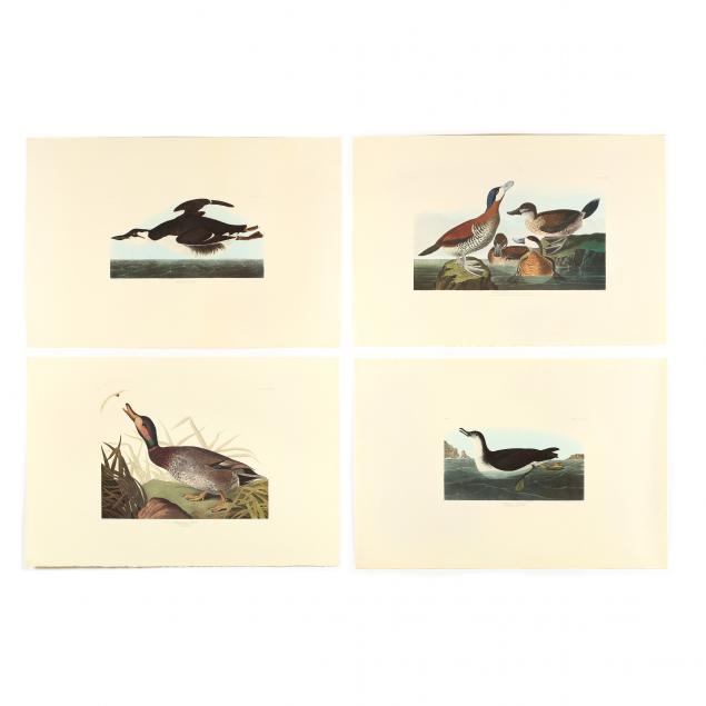 after-john-james-audubon-american-1785-1851-four-waterfowl-prints-from-i-birds-of-america-i-amsterdam-edition