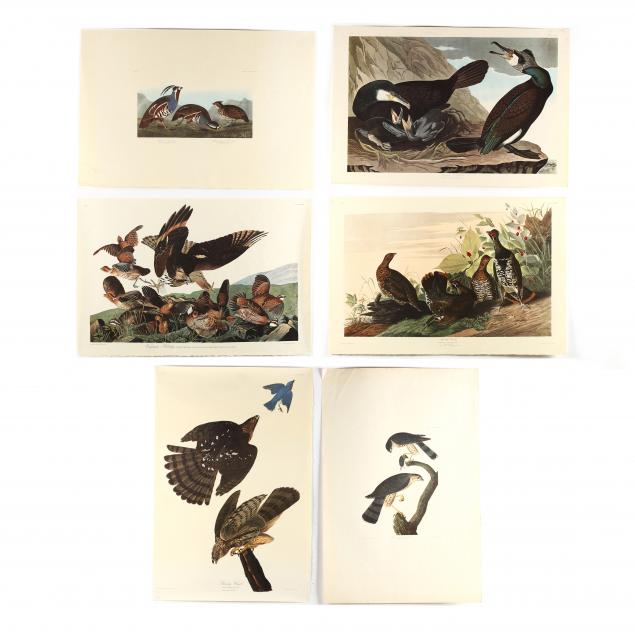 after-john-james-audubon-american-1785-1851-six-prints-from-i-birds-of-america-i-amsterdam-edition