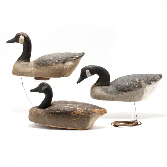 three-vintage-canada-goose-working-decoys