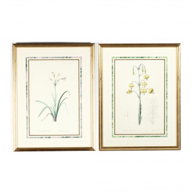 after-pierre-joseph-redoute-french-1759-1840-two-floral-engravings