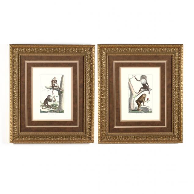 pair-of-framed-decorative-primate-prints