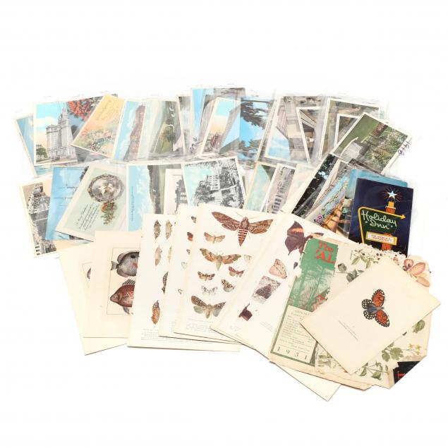 48-vintage-postcards-and-ten-natural-history-plates