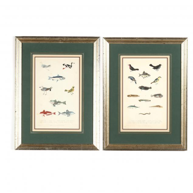 two-antique-fish-and-bird-prints-from-martyn-s-i-a-new-dictionary-of-natural-history-i