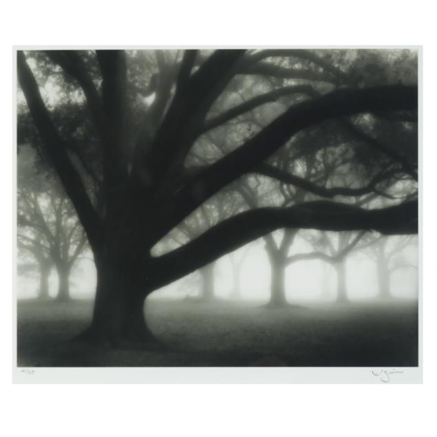 william-guion-la-i-oak-grove-in-fog-audubon-park-new-orleans-i