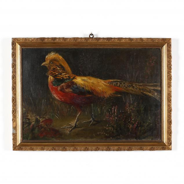 english-school-early-20th-century-painting-of-a-golden-pheasant