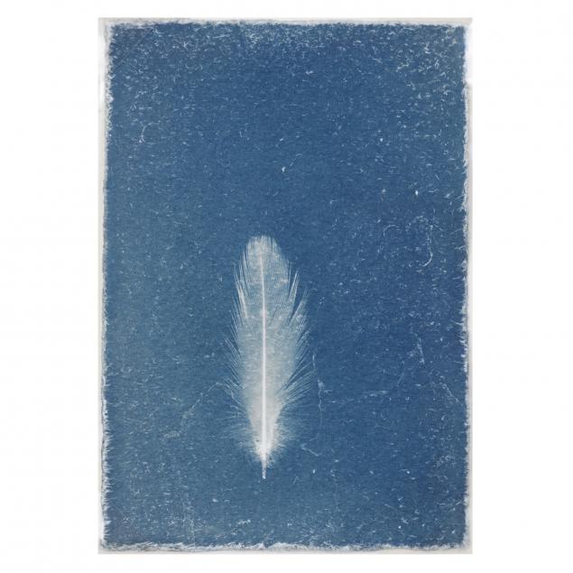 ken-rosenthal-az-i-untitled-i-from-i-feathers-i