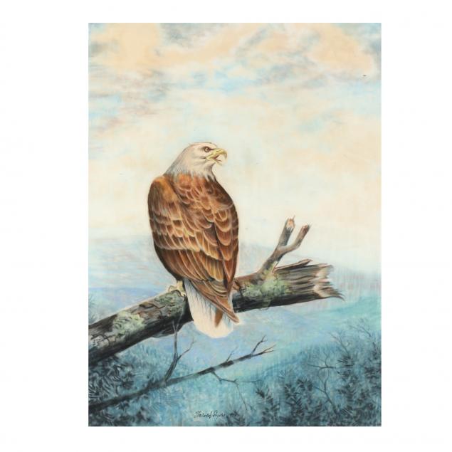 harold-styers-nc-1920-2010-eagle-at-lake-jordan