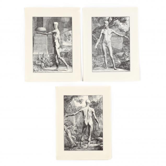 after-jan-wandelaar-three-contemporary-prints-showing-musculature