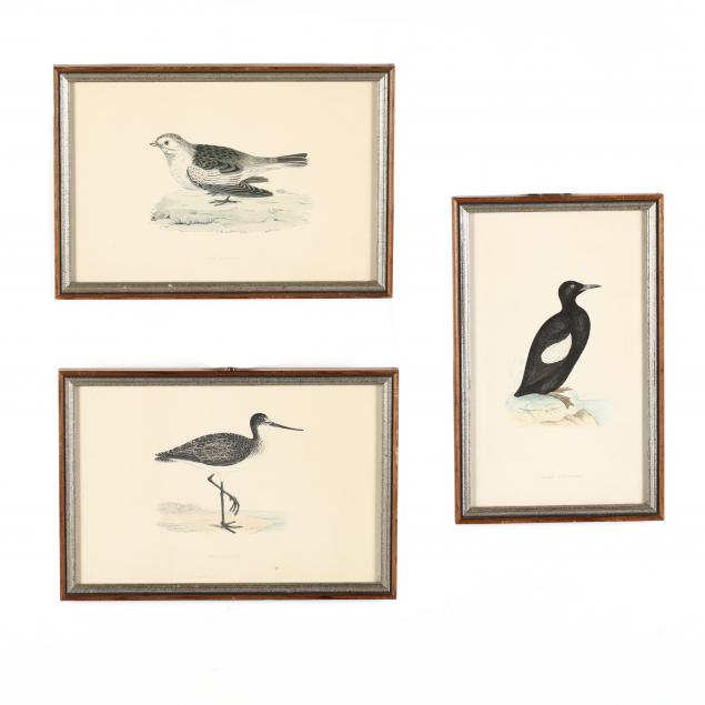 group-of-antique-ornithological-works
