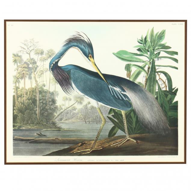 framed-print-after-audubon-s-i-louisiana-heron-i