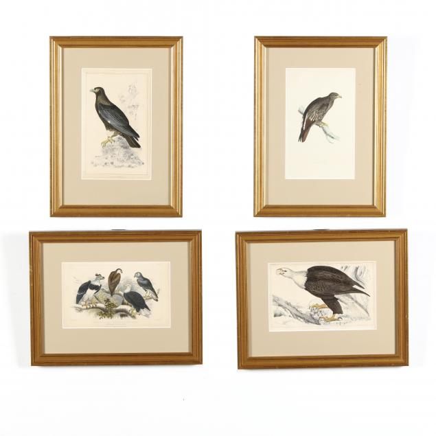 four-antique-eagle-and-falcon-prints