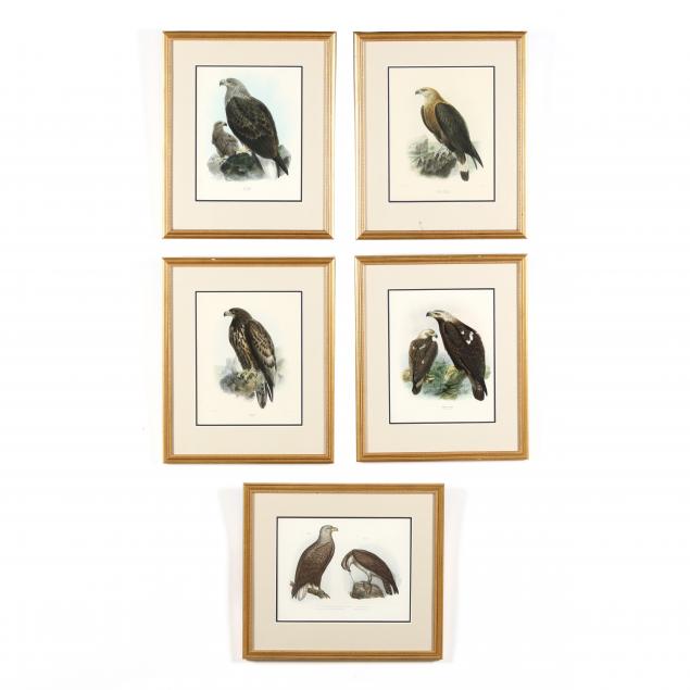 group-of-9-framed-antique-eagle-lithographs