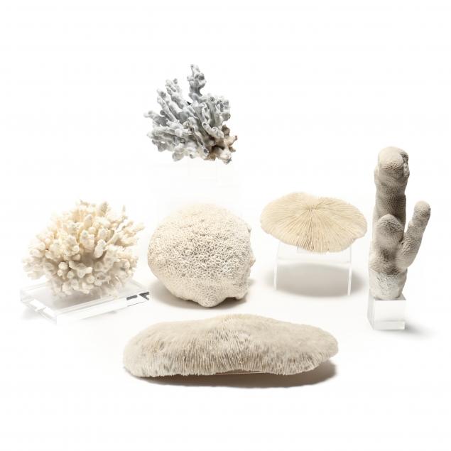 collection-of-six-pieces-of-natural-coral