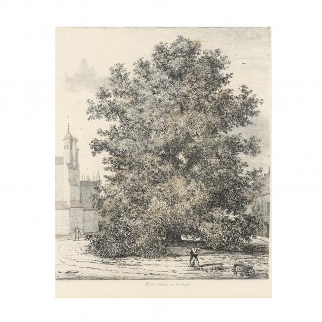 jacob-george-strutt-british-1790-1864-i-horse-chestnut-at-burleigh-i