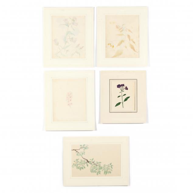 five-antique-botanical-watercolor-studies-on-paper