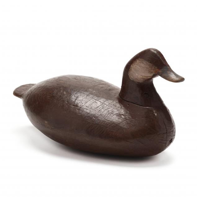 ivey-stevens-ruddy-duck